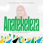 Diamond Platnumz – Anatekeleza