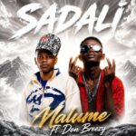 Malume Ft Don Breezy – Sadali